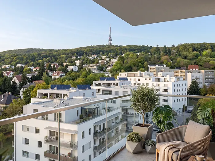 Visualisation of the view from the terrace towards Kamzík