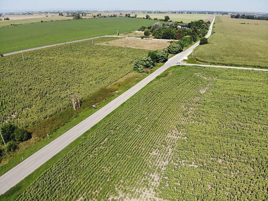 Access road to the plot, aerial photo
